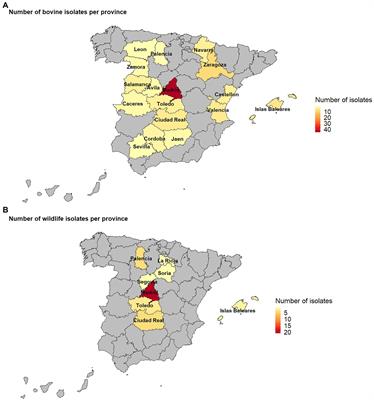 Use of Whole-Genome Sequencing to Unravel the Genetic Diversity of a Prevalent Mycobacterium bovis Spoligotype in a Multi-Host Scenario in Spain